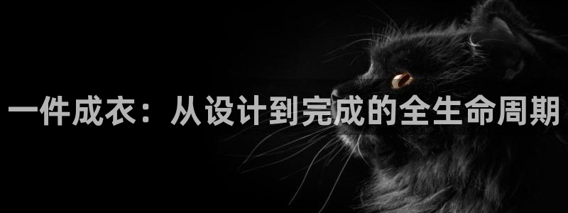 天辰宝娱乐