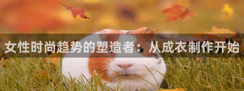 天富天辰娱乐