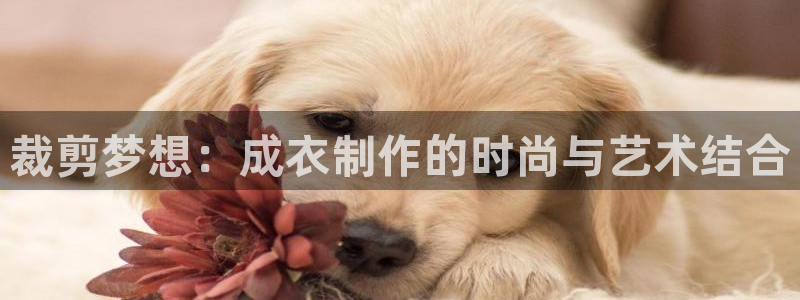 天辰娱乐论坛