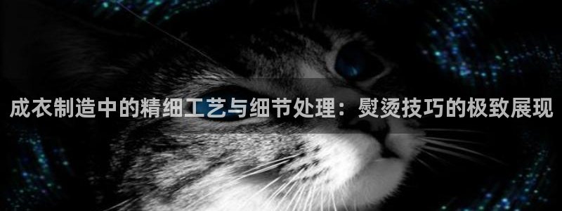 天辰娱乐白屏