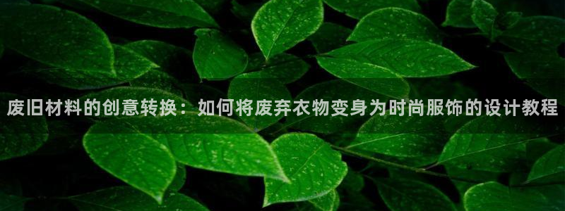 天辰娱乐 44516