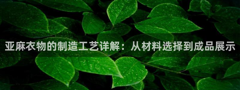 天辰娱乐tff