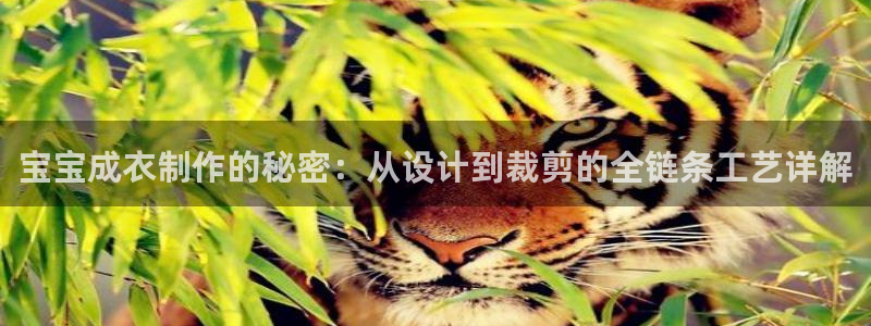 天辰娱乐675138
