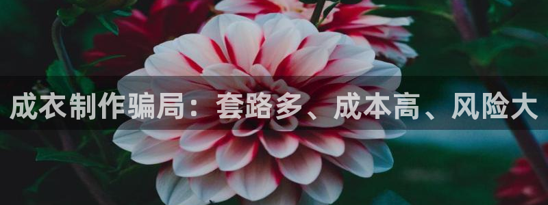 天辰娱乐新