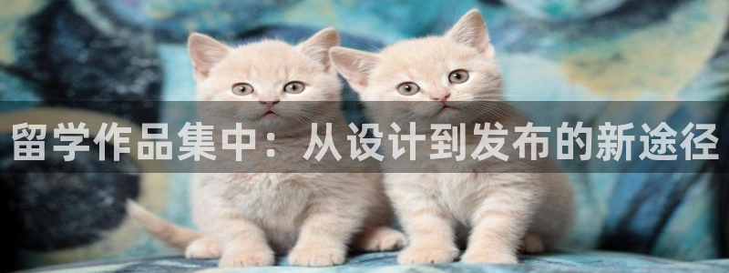 天辰水娱乐