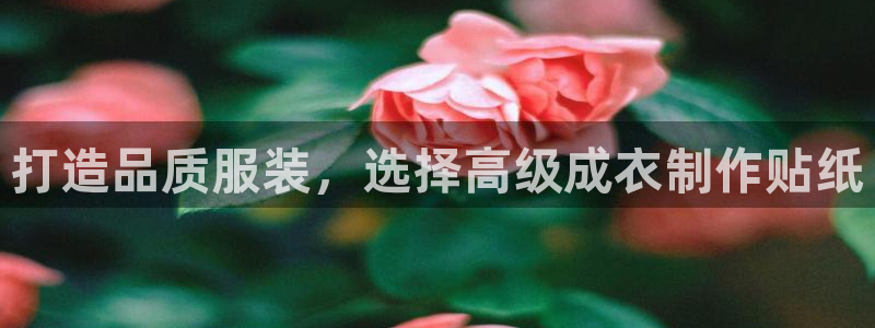 天辰娱乐84566