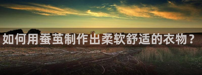 天辰娱乐卡