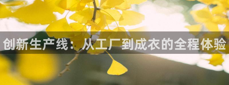 天辰娱乐总管