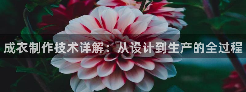 天辰娱乐文化