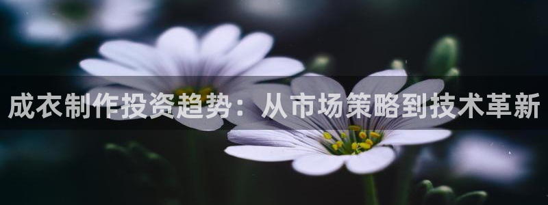 天辰娱乐675138