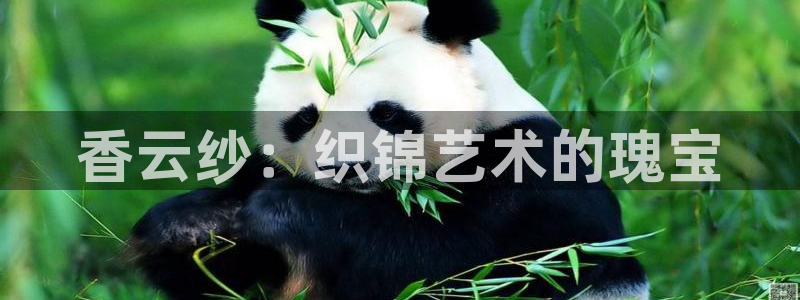 天辰宝娱乐