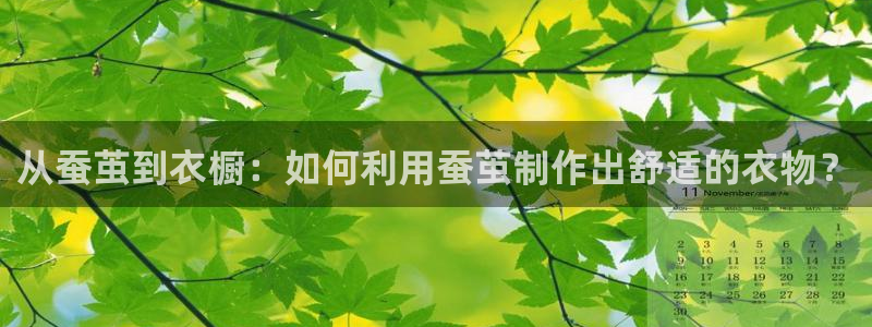 天辰娱乐-18113