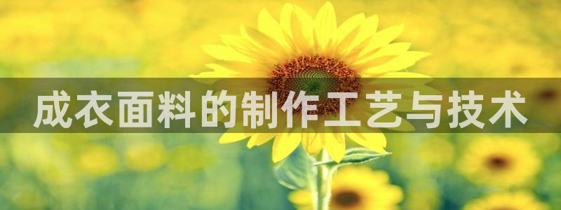 天辰娱乐下载