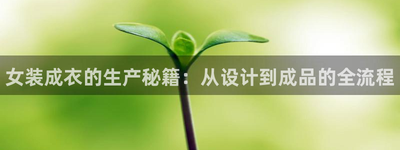 天辰娱乐 849852
