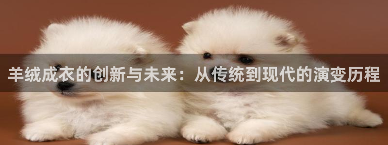 天辰娱乐网址娱乐游戏