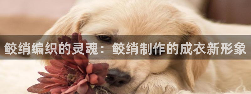 天辰娱乐跑的快