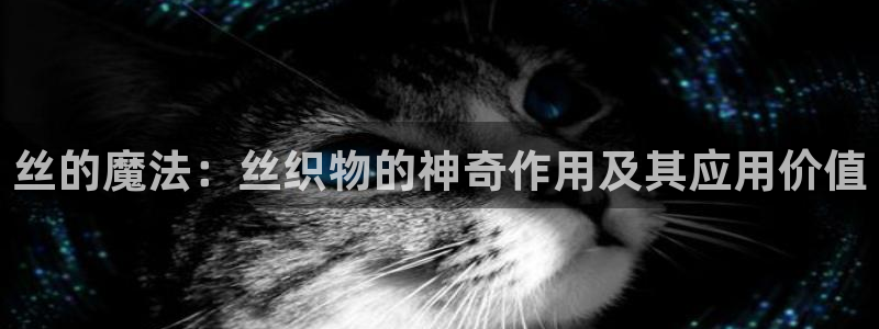 天辰娱乐新