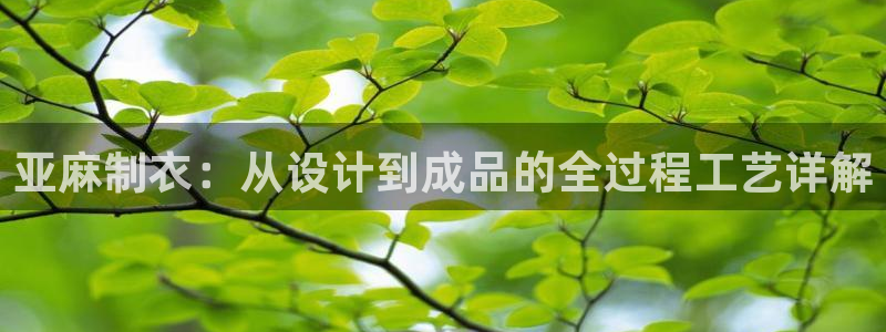 天辰娱乐网