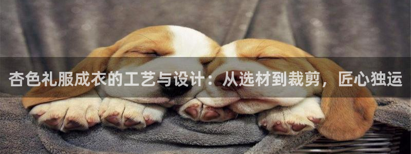 天辰娱乐台湾