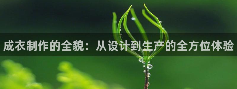天辰娱乐39596