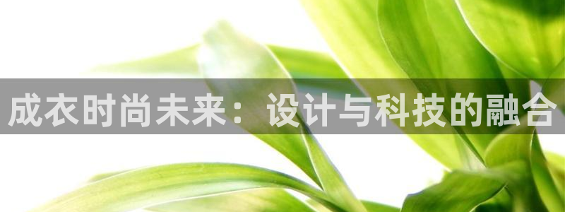 天辰娱乐