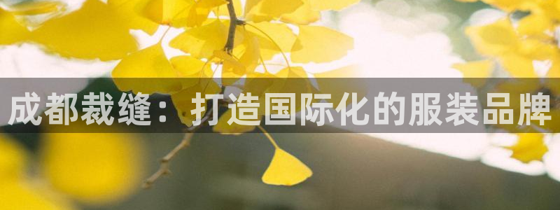 天辰娱乐上级