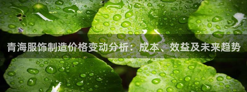 天辰娱乐_675138