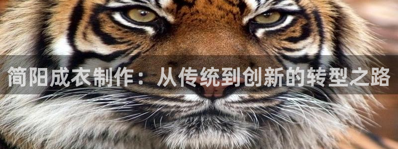 菲律宾天辰娱乐