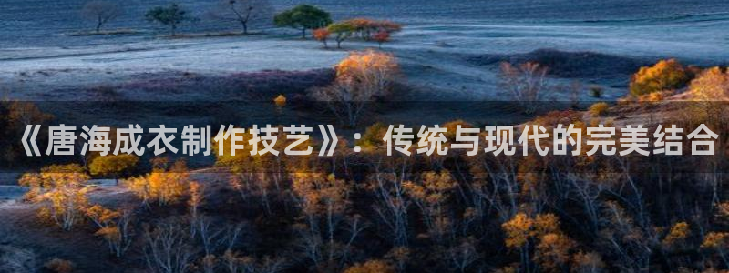 天辰娱乐官网平台下载