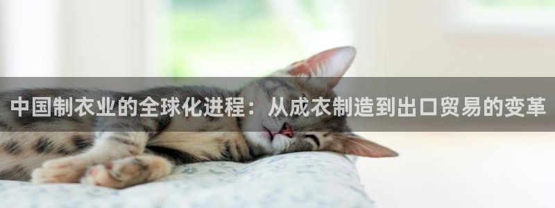 天辰娱乐 主管