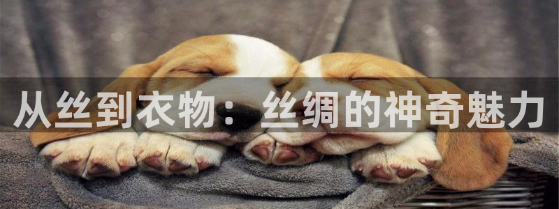 天辰娱乐总管年薪