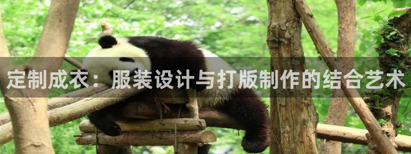 天辰娱乐957807
