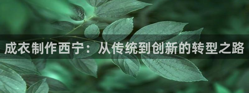 天辰娱乐_ 18113