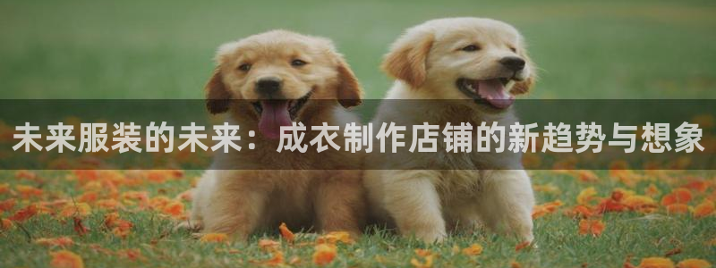 天辰娱乐直属